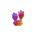 Rainbow Binacle